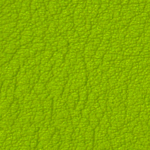 Seleccione el color del tapizado: Apfel