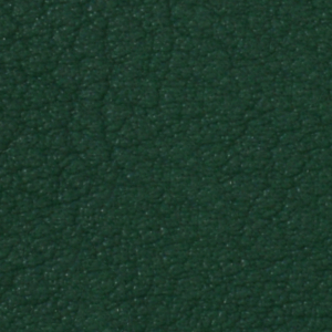 Seleccione el color del tapizado: Grün