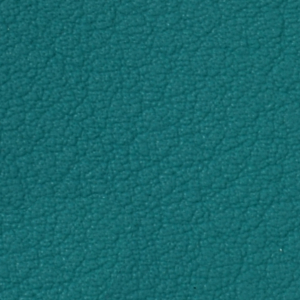 Seleccione el color del tapizado: Türkis