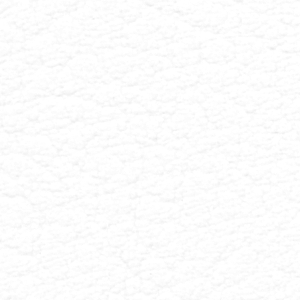 Seleccione el color del tapizado: Pure White