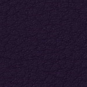 Seleccione el color del tapizado: Amethyst