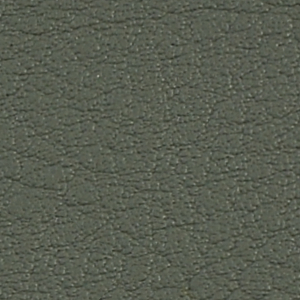 Seleccione el color del tapizado: Lichtgrau